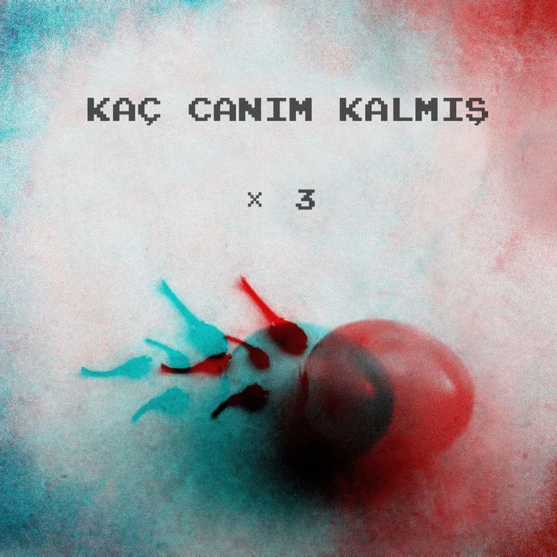 Kaç Canım Kalmış