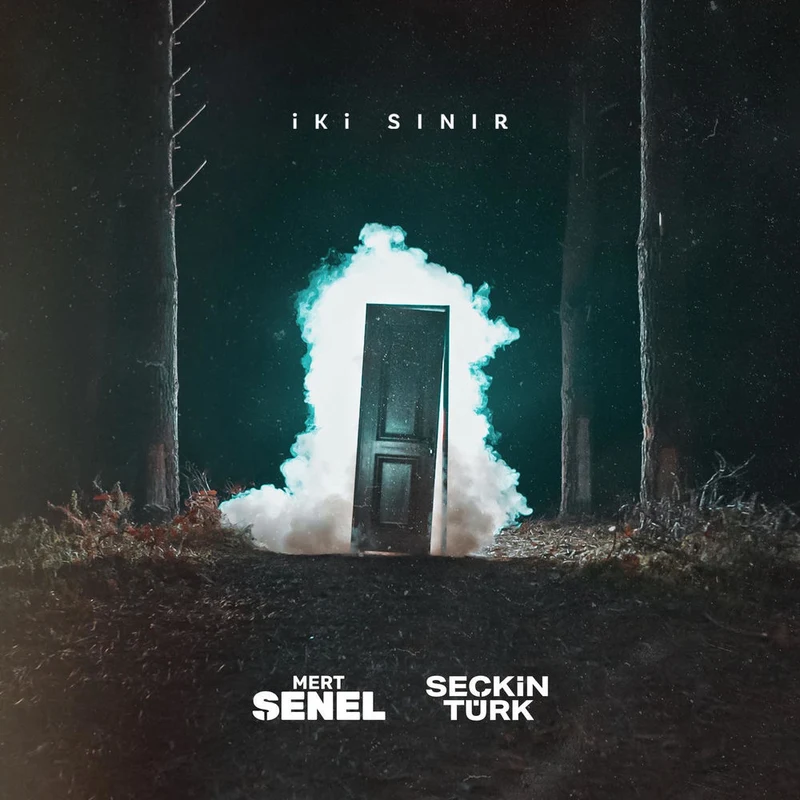 Seçkin Türk