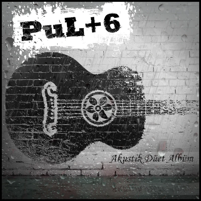 Pul