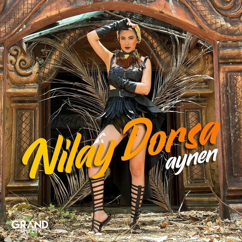 Nilay Dorsa