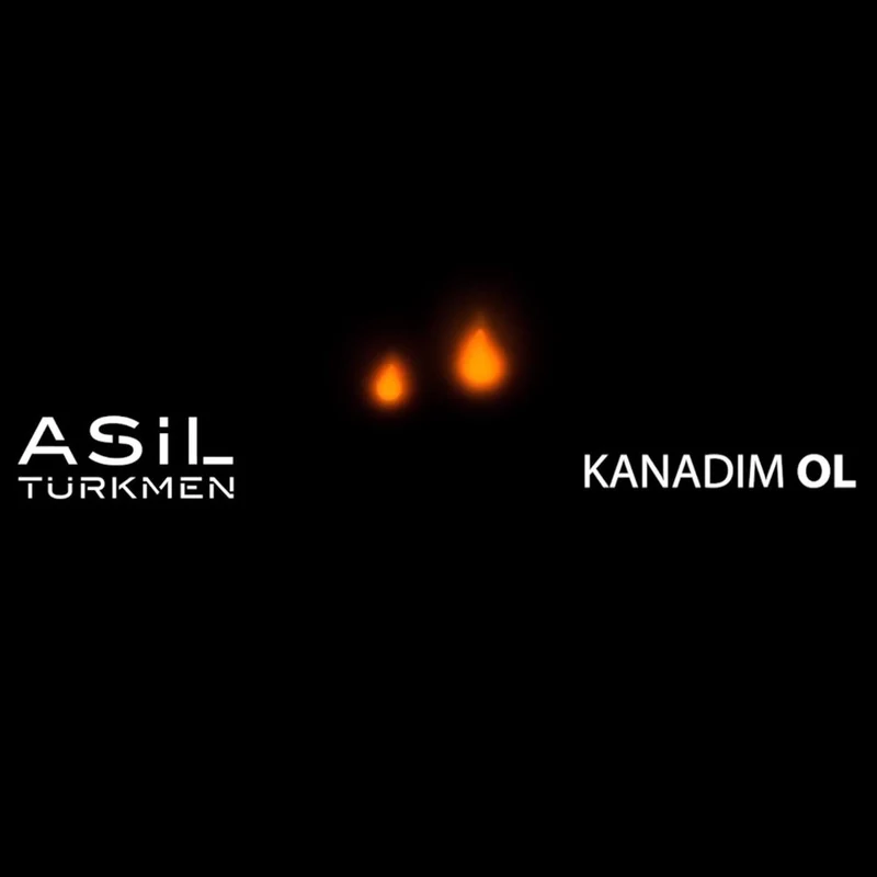 Asil Türkmen