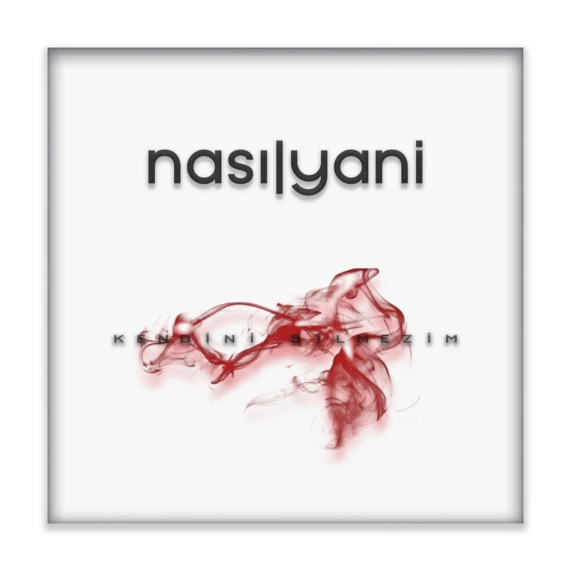 Nasıl Yani